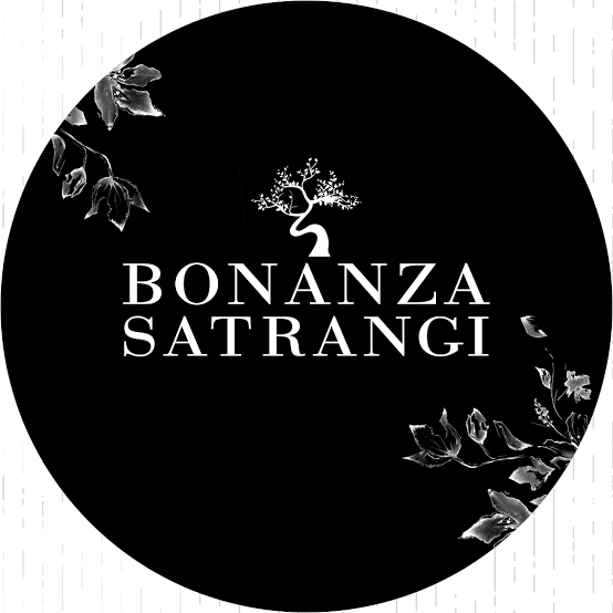 Bonanza Satrangi Unstitched Collection