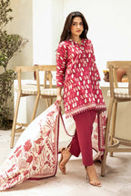 Elaheh by M. Bsics 3pc Printed Lawn Suit 03