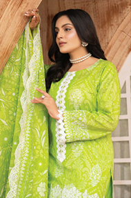 Rangriti by Sana Arts D04 Luxury Collection