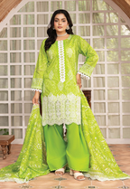 Rangriti by Sana Arts D04 Luxury Collection