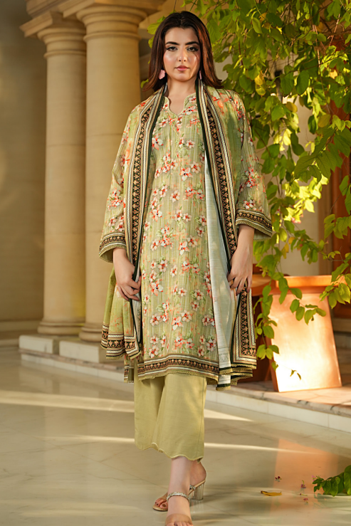 Salina khaddar winter collection