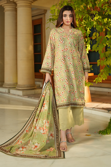 Salina khaddar winter collection