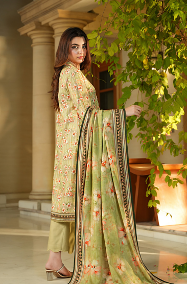 Salina khaddar winter collection