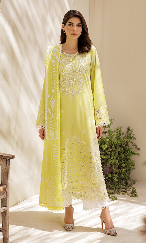 Nissa Chikankari 25 D# - 02