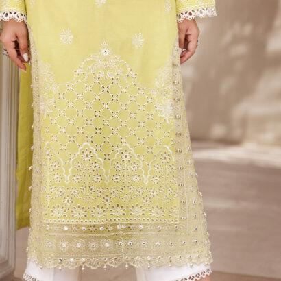 Nissa Chikankari 25 D# - 02