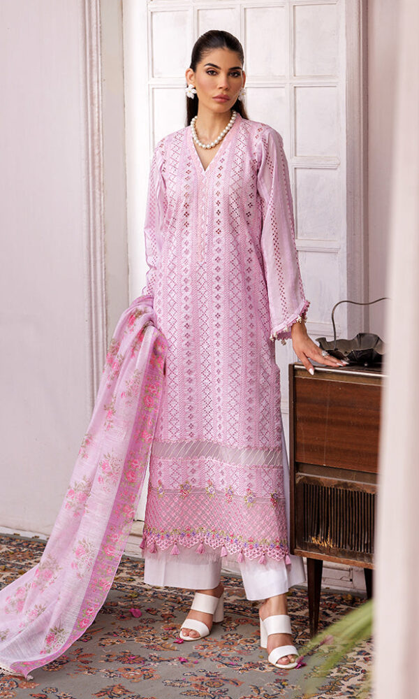 Nissa Chikankari 25 D# - 06