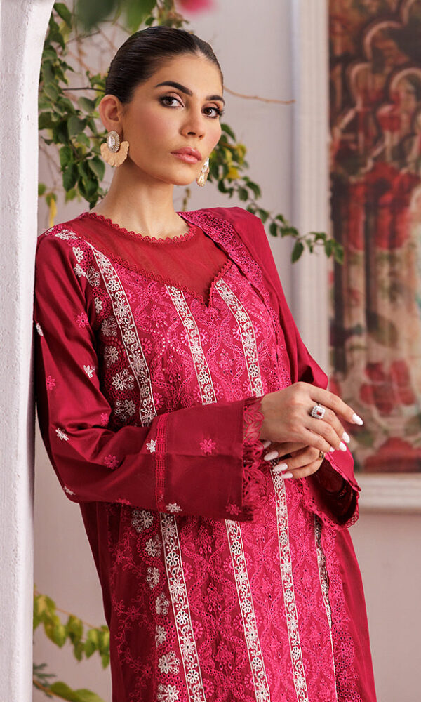 Nissa Chikankari 25 D# - 07