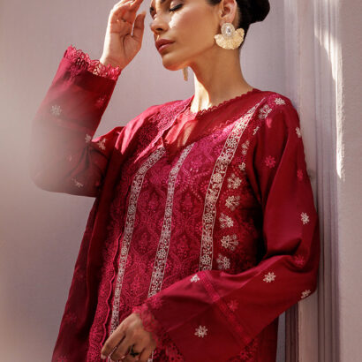 Nissa Chikankari 25 D# - 07